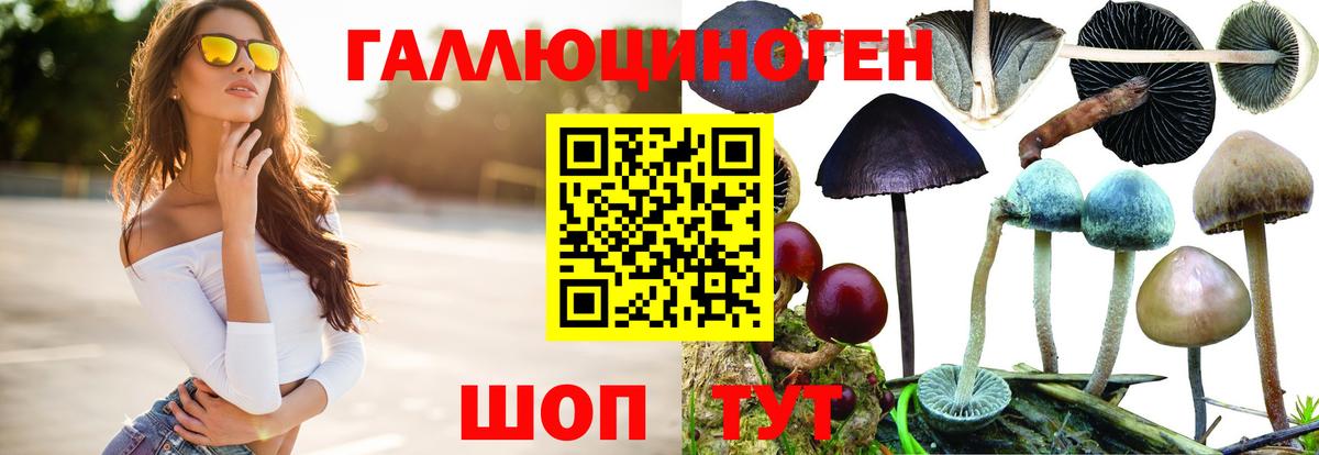 Галлюциногенные грибы мицелий  Вход с VPN  Каменка  Галлюциногенные грибы Psilocybe 