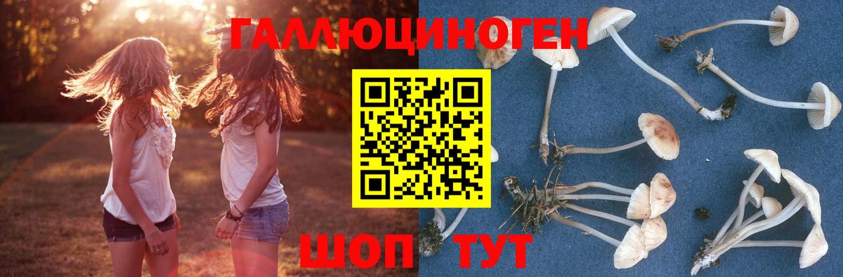 Гашиш  ГАШИШ  Каменка  Амфетамин   Наркошоп  Вход с VPN  МАРИХУАНА  Мефедрон кристаллы  COCAIN  МЕТАДОН 