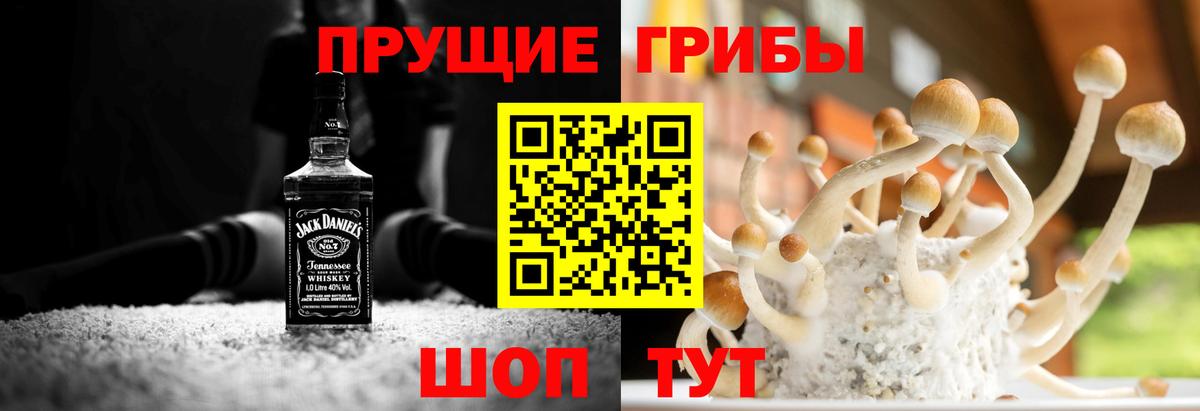 Галлюциногенные грибы GOLDEN TEACHER Каменка